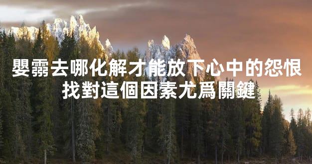 嬰霛去哪化解才能放下心中的怨恨 找對這個因素尤爲關鍵